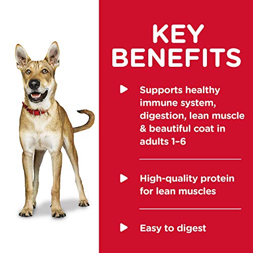 Hill's Science Diet Wet Dog Food, Chicken & Vegetables - Image 7
