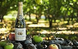 Martinelli Non-Alcoholic Sparkling Cider 2 Bottles