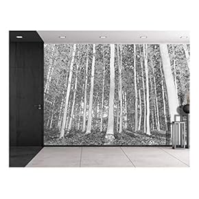 Black Outlined Trees on a Forest - Wall Mural, Removable Sticker, Home Decor - 66x96 inches