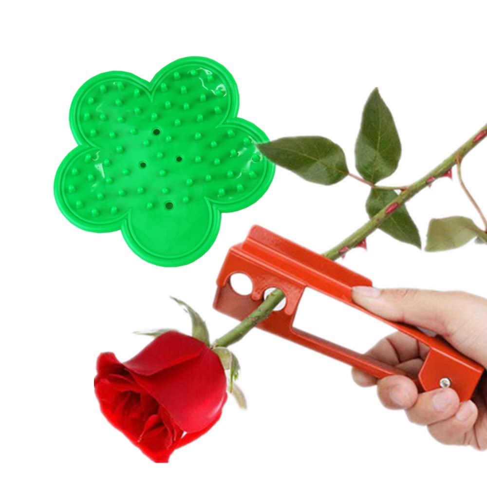 Thorn Trimmer Metal Thorn Remover and Plastic Rose Stripper Rose Stripping Tool for Garden Floristry Roses and Leaf Removal (Rxxx-1)