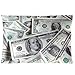Funny US Dollar Currency Money Pillowcase, Hundreds of Dollar Bills Pillowcase - Pillowcase with Zipper, Pillow Protector Cover Cases - Size 20x30 inches