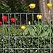 YARDGARD 309213A Fence, 36
