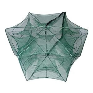Ymygcc Nasse A Poisson 6/8/12 Trous Pliable Automatique Nylon Filet De Pêche Pliable Pêche Réseau Crevette Cage Crabe…