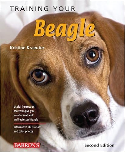 Training Your Beagle (Training Your Dog) �y�[�p�[�o�b�N  - 2011/4/1