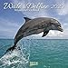 Wale und Delfine 2020: Broschürenkalender mit Ferienterminen. Tierkalender von Fischen by