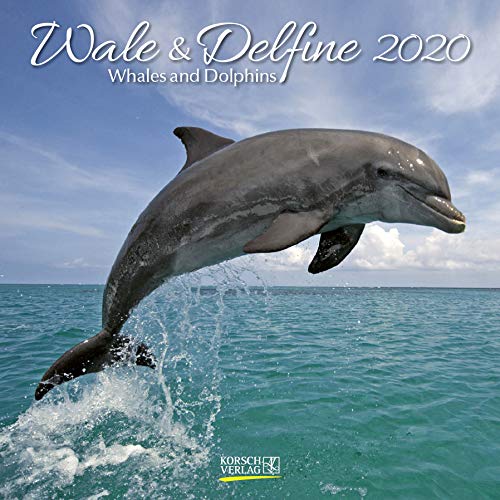Wale und Delfine 2020: Broschürenkalender mit Ferienterminen. Tierkalender von Fischen by