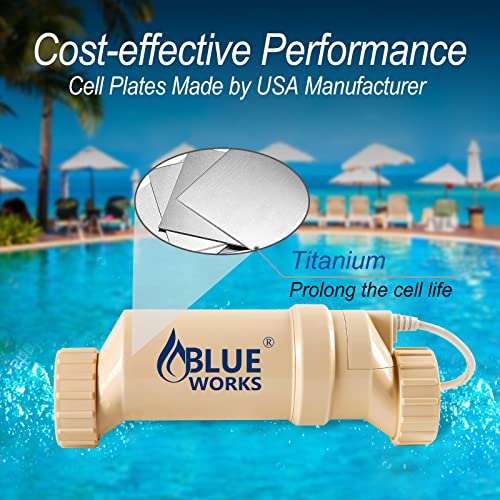 BLUE WORKS Saltwater System up to 10K Gallon Above Ground Pool, Pool