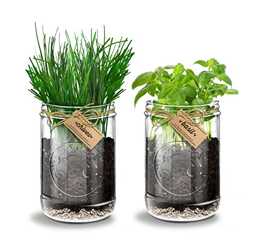 Herb Lover'S Kitchen Garden Kit By Abundant Living. Great Gift For Foodies, Chefs & Gardeners! Just Add Water. Everything Included. Easy-To-Grow Indoor Herbs Plus Kitchen Scissors/Shears & Recipes! (641361783128)