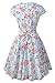 Chicanary Women's Cap Sleeve Vintage Tea Dress with Belt Green Large