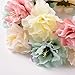 Flower Crown Delicate Women Headband Crown Floral Garland Headbands /Halo/coachella /Edc /Hippie Flower Headband /Garden Party / Wedding,Set of 2