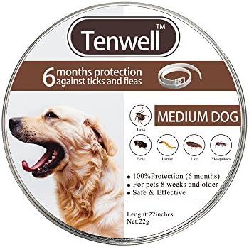 Dog Flea and Tick Collar Flea Prevention Collar 6 Month Protection Natural Essential Oils 22Inch Collar Ajustable for Fit