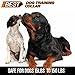 Best Rechargeable Waterproof Dog Training Collar Version 2.0 with Remote for All Sizes