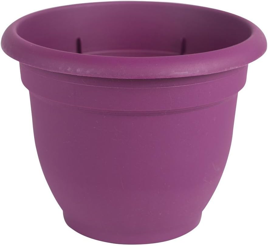 Bloem 8 x 7 Passion Fruit Ariana Plastic Self Watering Planter