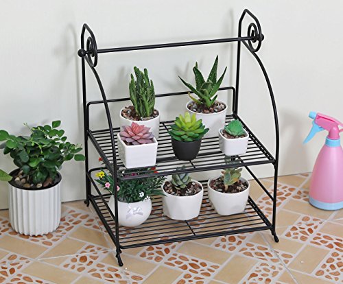 TQVAI 2 Tier Can Rack Organizer with Kitchen Roll Holder, Black - Thumbnail 3