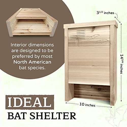 Made in USA PremiumGrade Red Cedar Bat House, SingleChamber Bat Box