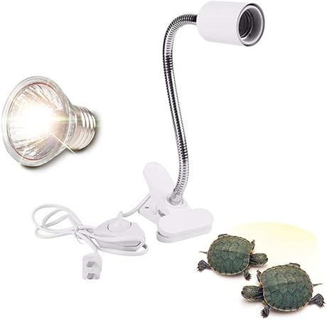 heat bulb for tortoise