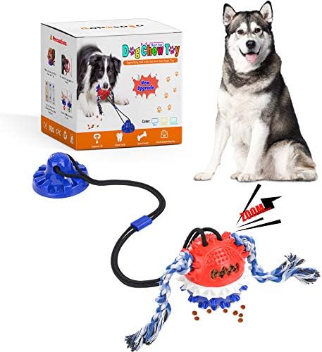 suction cup dog rope