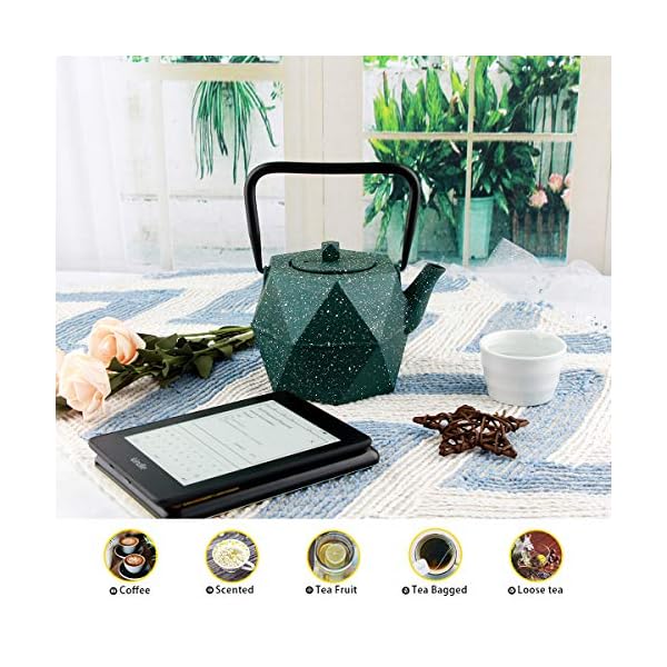 Tea Kettle, Toptier Japanese Cast Iron Teapot with Stainless Steel