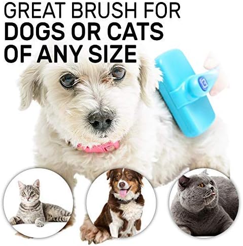 brushee dog cleaning brush