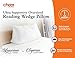 Cheer Collection Wedge Pillow for Reading in Bed, Plushy Headboard Wedge Pillow, Large Backrest Pillow for Bed, Soft Dorm Pillow Headboard Cushion, Elevation Pillow for Sleep & Relaxation