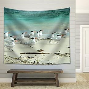 Birds in The Beach in Los Roques - Fabric Wall Tapestry Home Decor - 51x60 inches