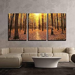 Autumn Trees in The Forest x3 Panels