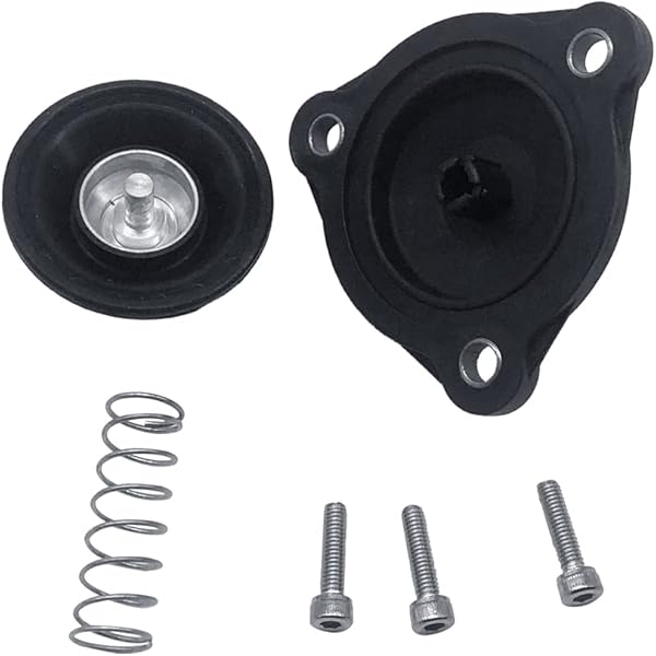Amazon.com: GM Genuine Parts 55507184 Charge Air Bypass Valve 