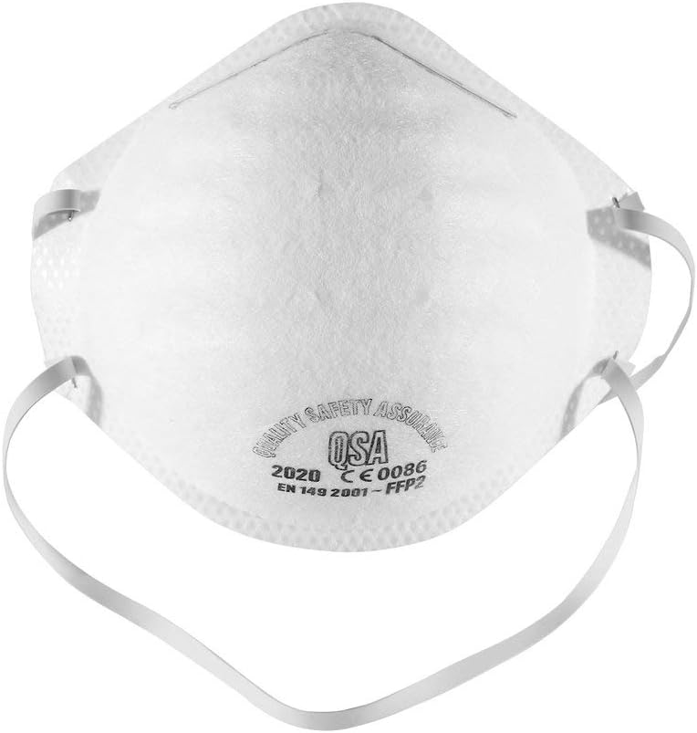 N95 Mask Particulate Respirator FPP2 (3)