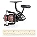 Penn Fierce II 6000LL Spinning Fishing Reel