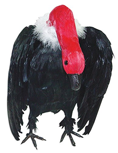 Sunstar Industries Vulture With Head Down Prop Standard