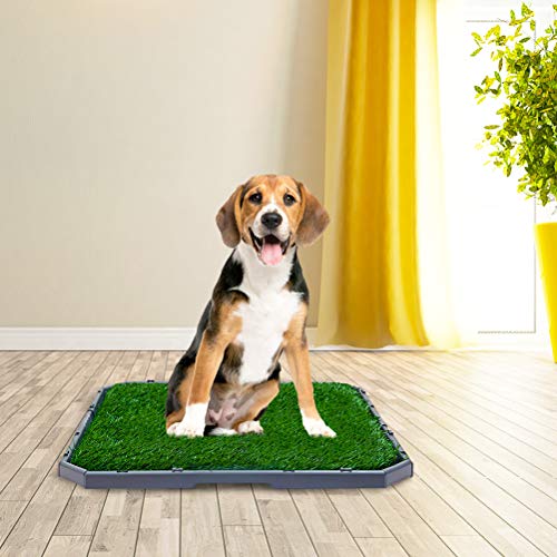 BINGPET Dog Grass Training Potty Pad, with Foldable Tray and Washable