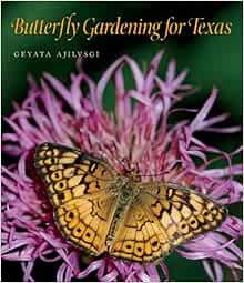 Butterfly Gardening For Texas Volume 46 Louise Lindsey Merrick Natural Environment Series Ajilvsgi Geyata 9781603448062 Amazon Com Books Butterfly Gardening 2022 Princeton Book Review