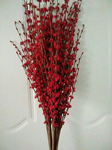 SilverPetals Beautiful Jasmine Flower for Holiday Decor, Home Decor, Table, Desk, Office, Party, Wedding, Restaurant, Shops Indoor and Outdoor Decor 12 Stems (Red)