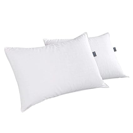 Dreamhood White Goose Feather And Down Pillows Standard Size White