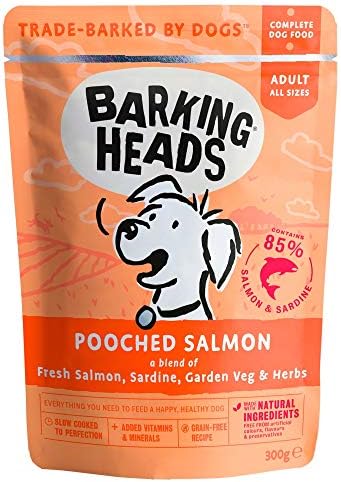 applaws kitten zooplus