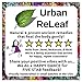 Lemon Balm Blister Soothing Care Stick! Quickly Soothe Cold Sores, Shingles, Chicken Pox, Rashes, Herpes, Molluscum, Bug Bites. Suppress Future outbreaks. 100% Natural.