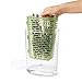 OXO Good Grips GreenSaver Herb Keeper- 2.8 QT