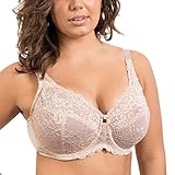 Delimira Women's Sheer Lace Unlined Minimizer Underwire Full Figure Bra