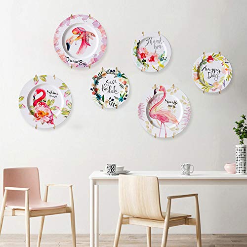 AhlsenL 10 Pack Stainless Steel PlateÂ Hangers forÂ Walls Compatible Decorative Plates Hooks Dish Diaplay Holder 8 Inch with 10 PCS Wall Hooks