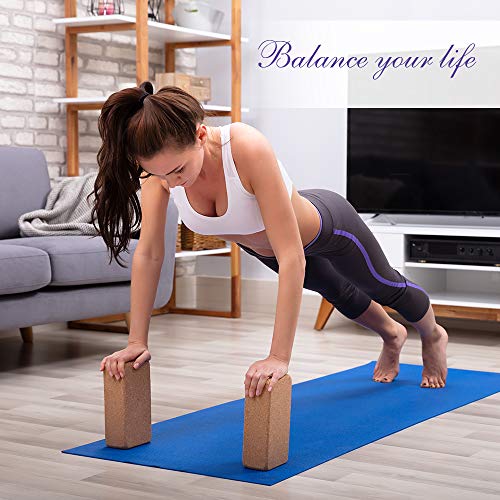 Arltb Yoga Blocks 2 Pack Cork Yoga Brick 9"x6"x4" with Metal DRing