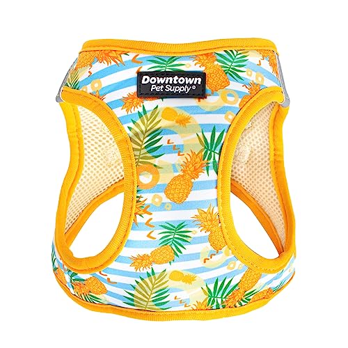 Downtown Pet Supply No Pull, Step in Adjustable Dog Harness with Padded Vest, Easy to Put on Small, Medium and Large Dogs (Pineapple, XXS)