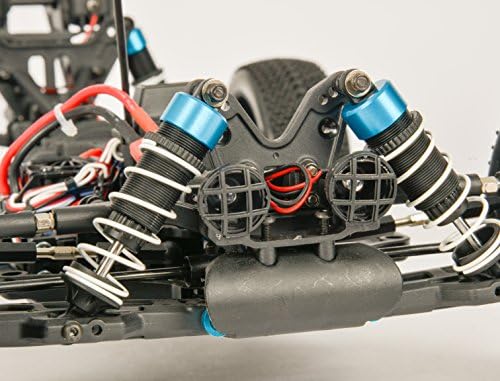 carson beat warrior buggy