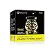 YUNLIGHTS LED Lights, Blub Lights, IP65 Waterproof Lights for Wedding Party Bedroom Patio Christmas
