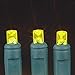 Novelty Lights 11ft 50 LED Yellow Christmas Lights Outdoor/Indoor, 2.5