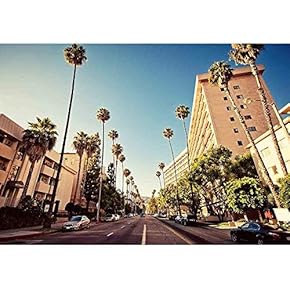 Palm Streets of Beverly Hills - Removable Wall Mural | Self-Adhesive Large Wallpaper - 66x96 inches