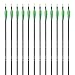 Musen Carbon Arrows 30-Inch Fletching 2.5'' Target Practice Archery Arrows for Recurve or Compound Bow(12 Pack) (Green)