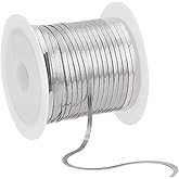 NBEADS 32.8 Feet Flat Snake Chains, 2mm Wide Stainless Steel Jewelry Making Chains Necklace Chains Bulk for Choker Necklace Bracelet DIY Craft Jewelry Making Supplies, Silver