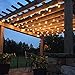 LE 25ft Globe String Lights with 25 Clear G45 LED Bulbs, Warm White, Plug in Dangling Café Bistro Light, Decorative Bulb String Light for Patio, Party, Pergola, Backyard, Garden, Porch and More