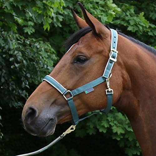 Bucas Dublin Head Collar Cob Mallard Green
