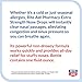 Rite Aid Nose Drops - 1 Fluid Ounce - Phenylephrine Hydrochloride 1 Percent Nose Drops | Extra Strength Nose Drops Decongestant | Nasal Decongestant Drops | Nasal Congestion Relief